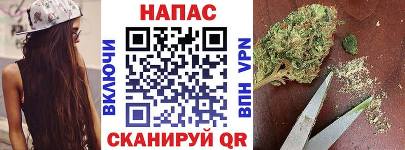 Где купить наркотики Бердск АМФЕТАМИН A PVP ГАШ Меф Конопля