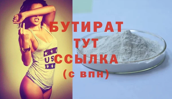 индика Ельня