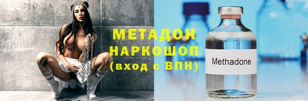 индика Ельня