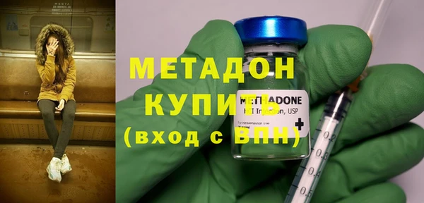 индика Ельня