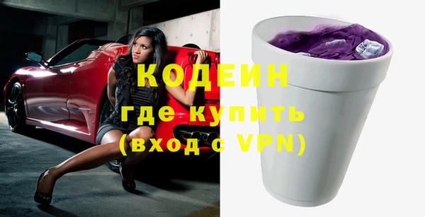 индика Ельня