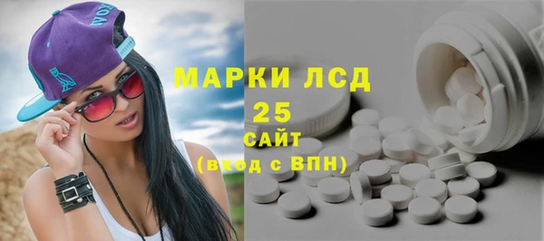 индика Ельня