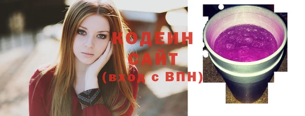 индика Ельня