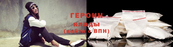индика Ельня