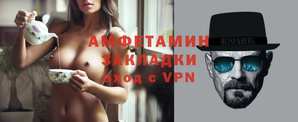 индика Ельня