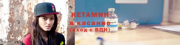 индика Ельня