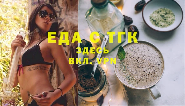 индика Ельня