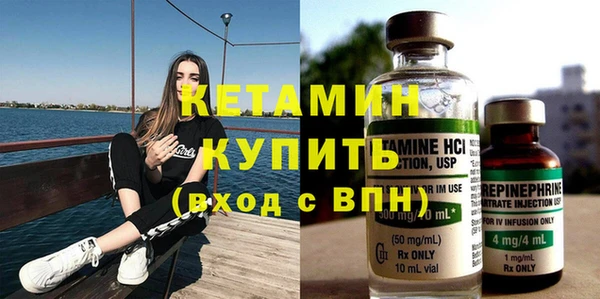 индика Ельня