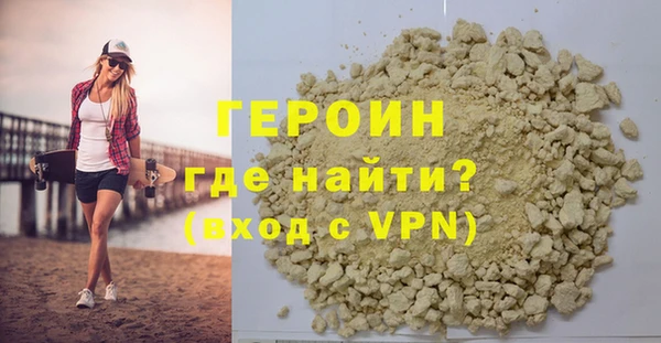 индика Ельня