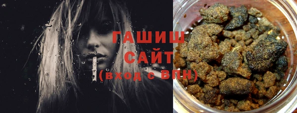 индика Ельня