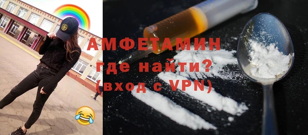 индика Ельня