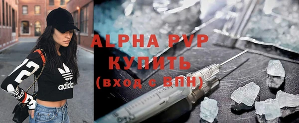 индика Ельня