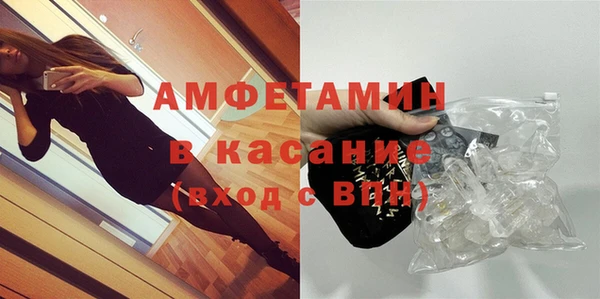 индика Ельня