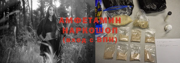 индика Ельня