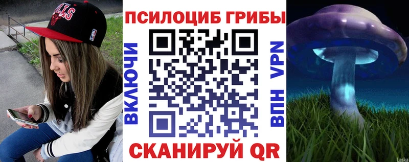 Галлюциногенные грибы GOLDEN TEACHER  Бердск 