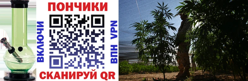 Каннабис гибрид  Бердск 
